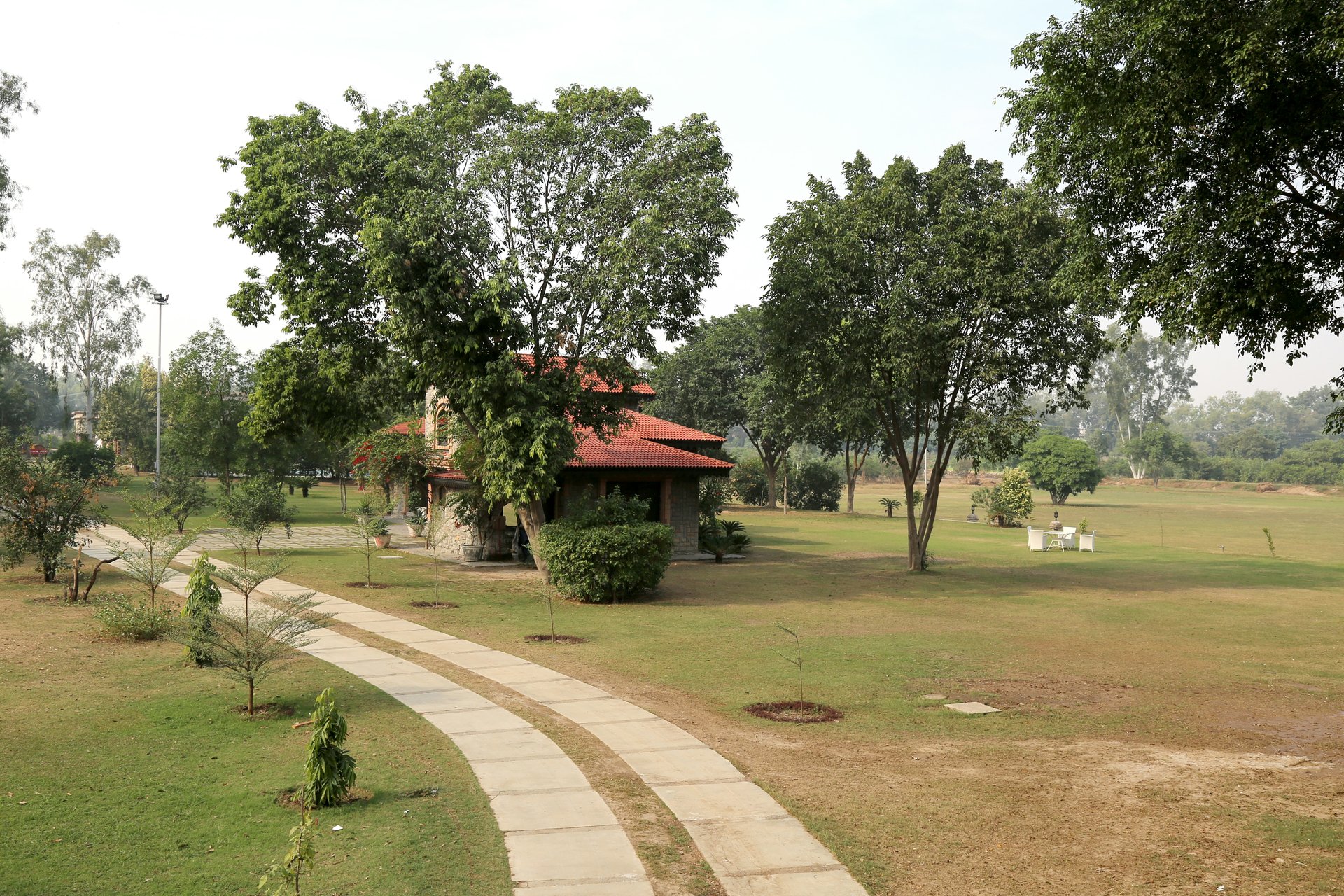 Classical Lawn Royal Setup