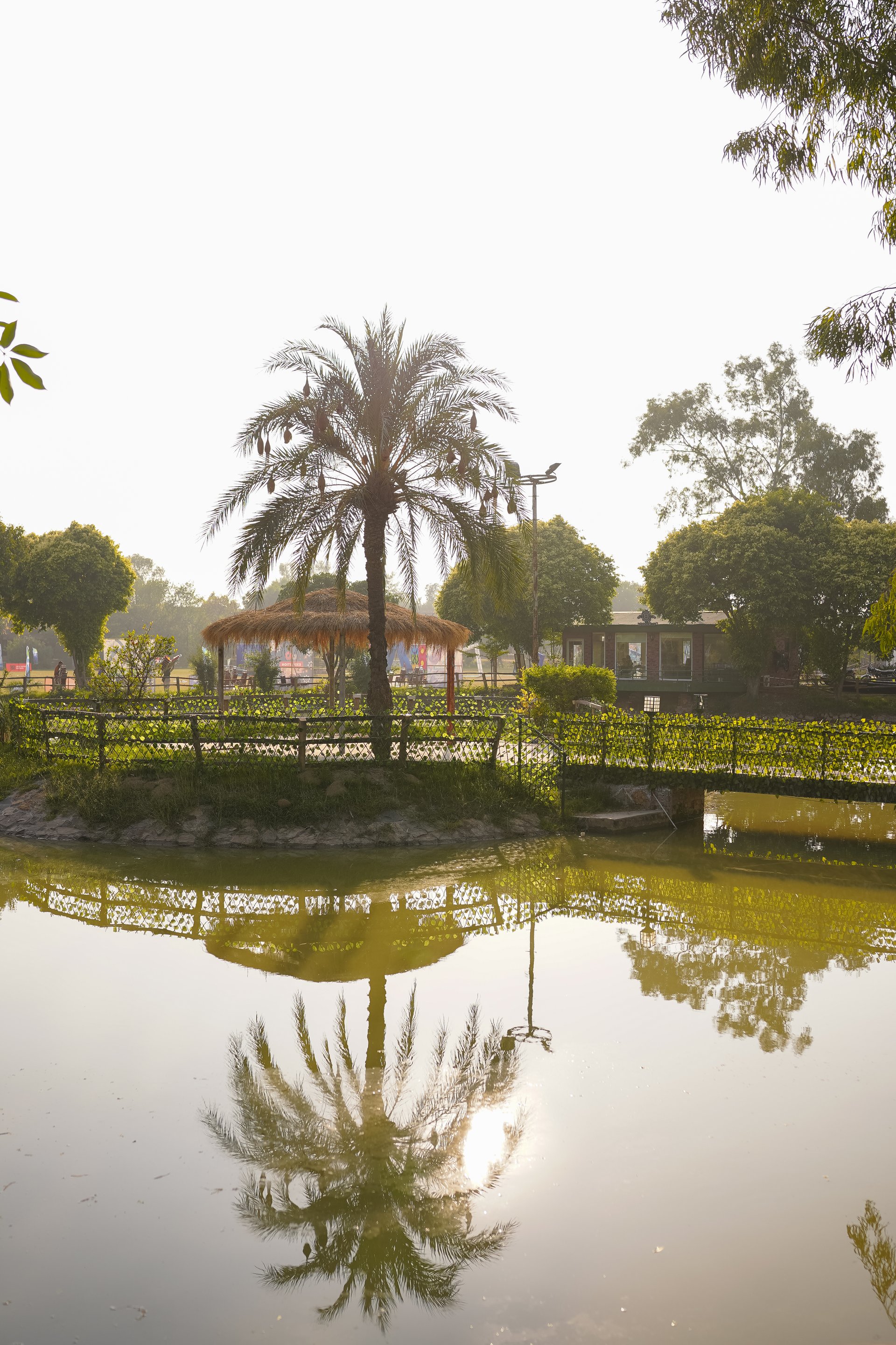Lake Side Lawn: Planning an Intimate 350-Guest Waterfront Mehndi & Nikah